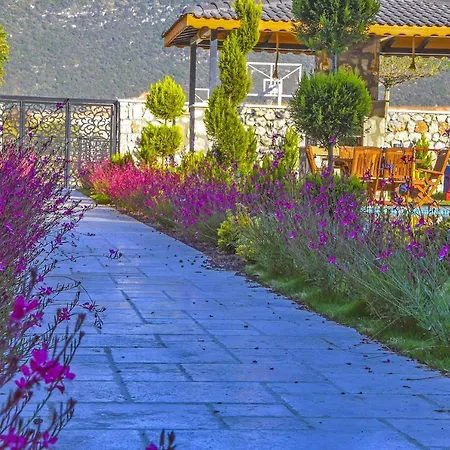 Farm Villa
